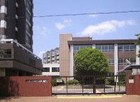 大学・短大　お茶の水女子大学（大学・短大）まで742m
