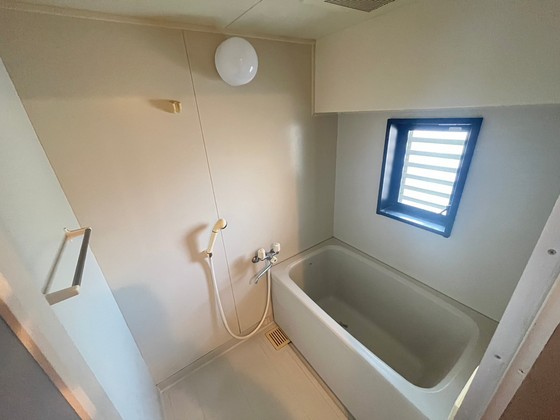 バス・シャワールーム　※別部屋の写真です