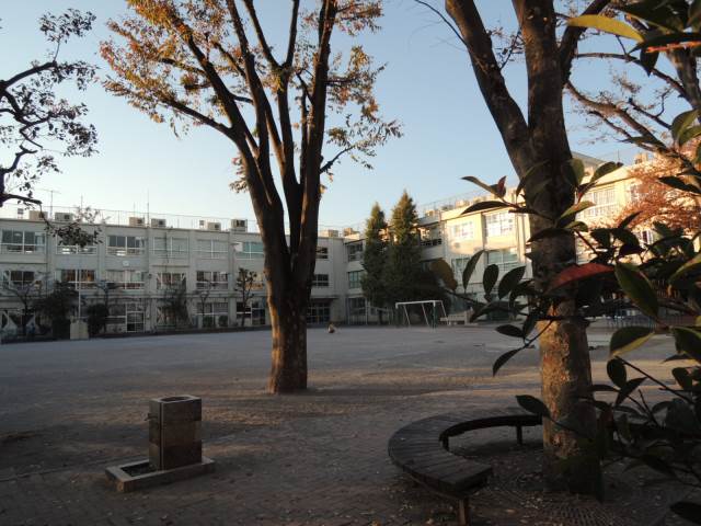 小学校　板橋第十小学校（小学校）まで427m