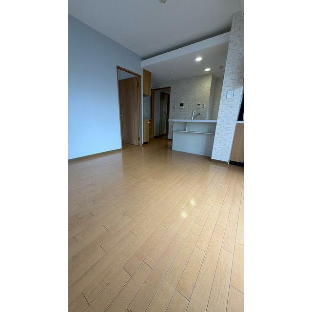 エクセレント新宿文化センター通りの居間写真