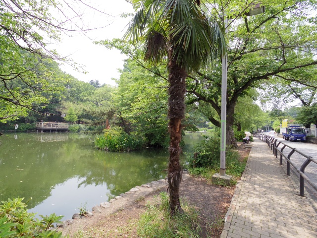 【ラ・フォーレ小見野1の公園】