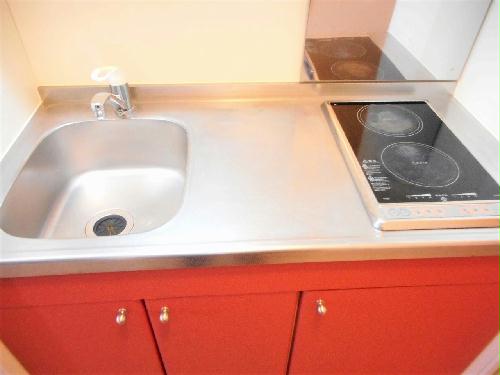 キッチン　2口の電気コンロまたはIHコンロとなります