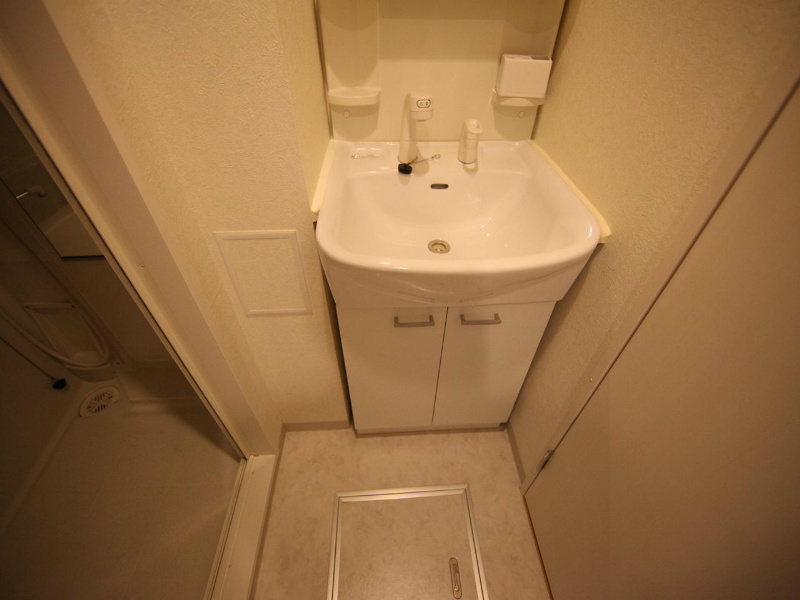 洗面設備　脱衣所　独立洗面台（シャンプードレッサー付）収納スペース有