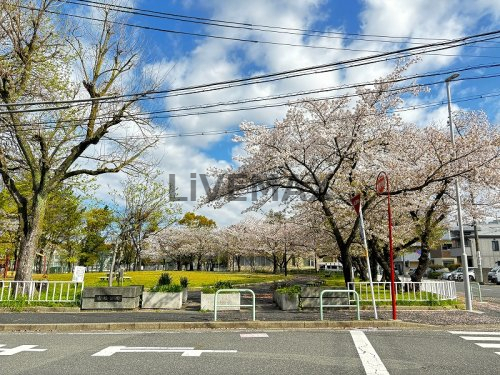 公園　露橋公園（公園）まで383m