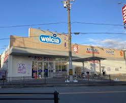 ドラックストア　ウエルシア豊中中桜塚店（ドラッグストア）まで539m