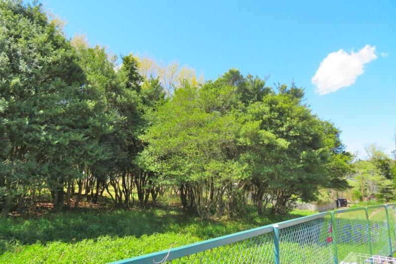 その他　（その他）まで100m