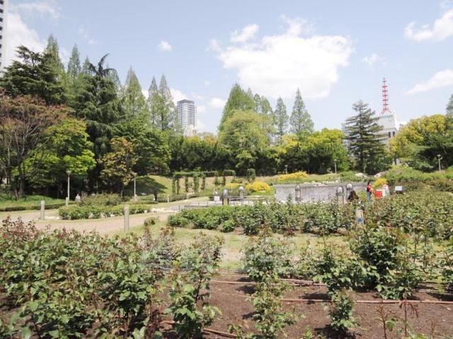 公園　靱公園（公園）まで766m