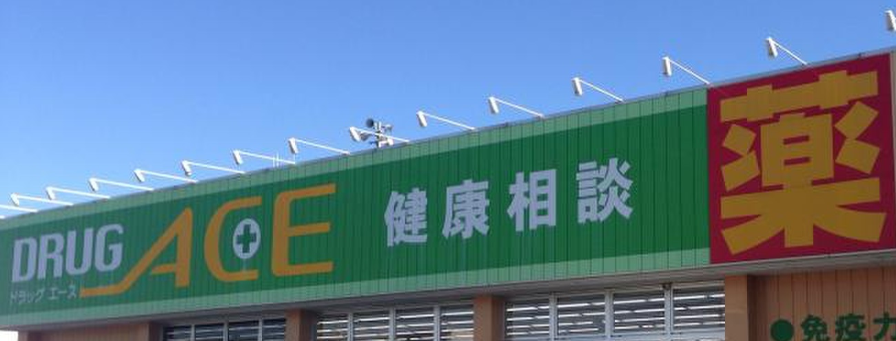 ドラックストア　ドラッグエース箭弓町店（ドラッグストア）まで896m