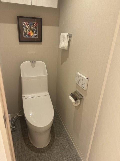 ファミール日本橋ブルークレールのトイレ写真