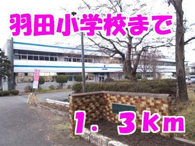 【ビッグ　シャトーＢの小学校】