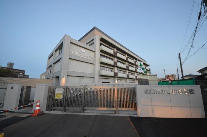 小学校　仙台私立新田小学校（小学校）まで263m