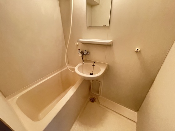 バス・シャワールーム　※別部屋の写真です