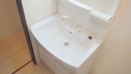 洗面設備　シャンプードレッサー付きです