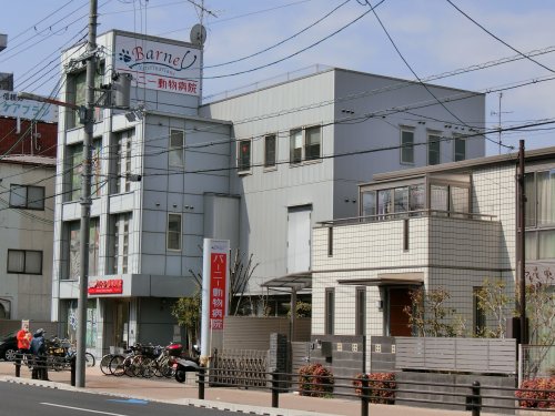 病院　バーニー動物病院（病院）まで102m