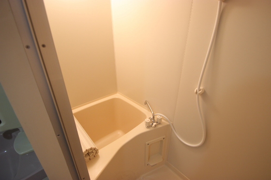 バス・シャワールーム　※別部屋の写真です