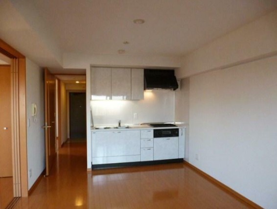 東急池上線 雪が谷大塚駅 徒歩2分 10階建 築22年のキッチン写真