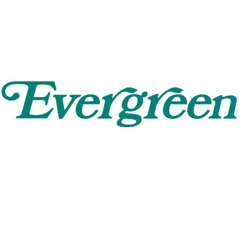 ドラックストア　エバグリーン西庄店（ドラッグストア）まで345m