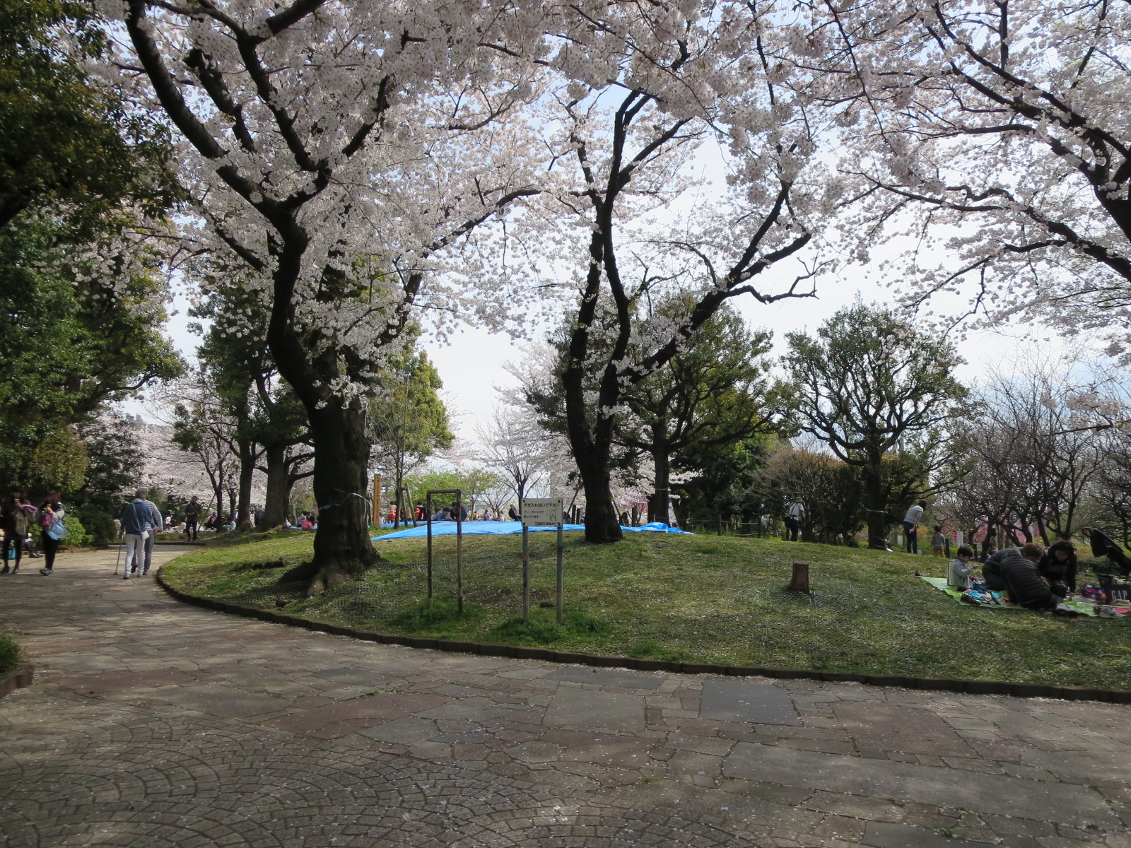 公園　西郷山公園（公園）まで359m