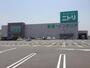 ホームセンター　ニトリ堺中央環状店（ホームセンター）まで704m