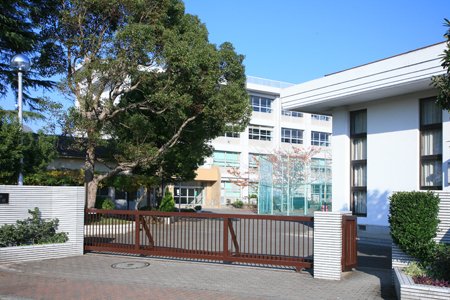 中学校　横須賀市立追浜中学校（中学校）まで373m