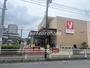 スーパー　ヤオコー 柏若葉町店（スーパー）まで659m