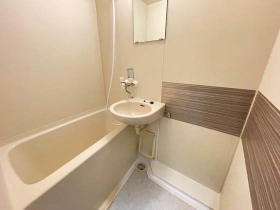 バス・シャワールーム　※別部屋の写真です