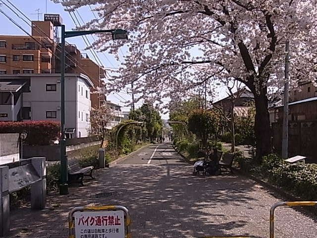 公園　下河原緑道（公園）まで962m