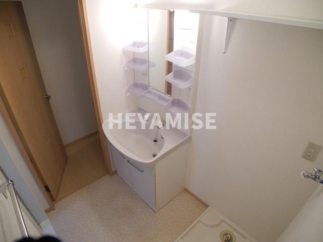 洗面設備　※室内画像は別号室(反転)