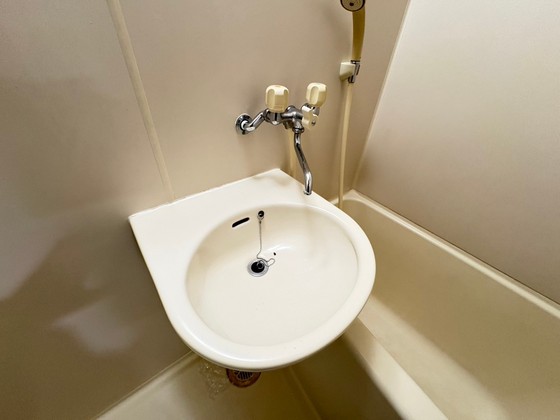 洗面設備　※別号室の写真になります。