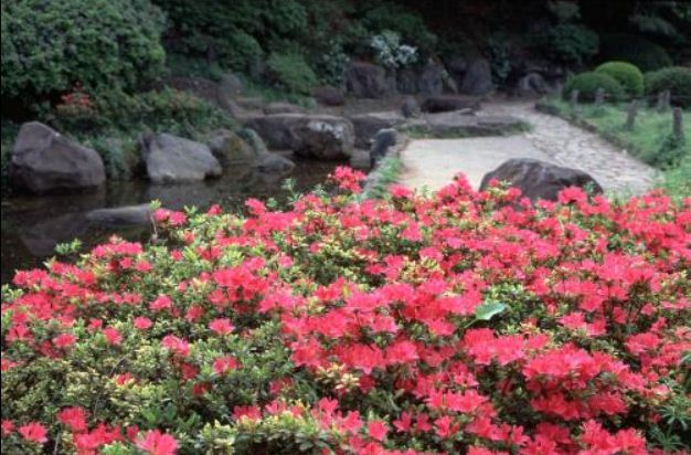その他　関口台公園