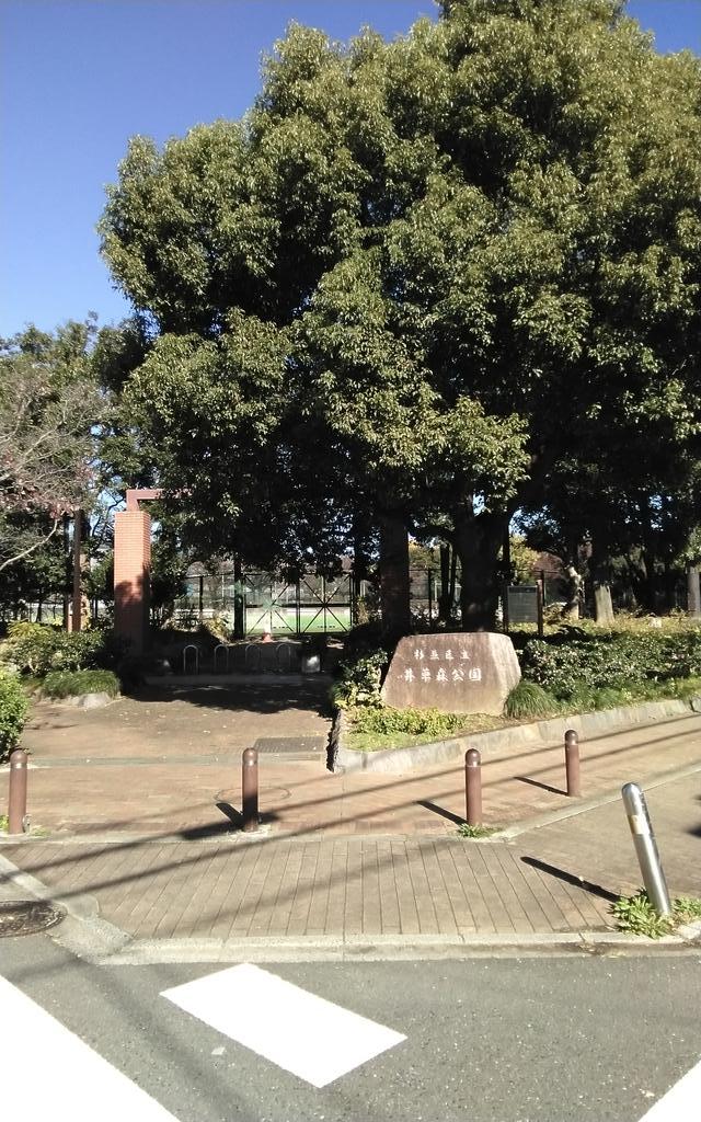 公園　井草森公園（公園）まで332m