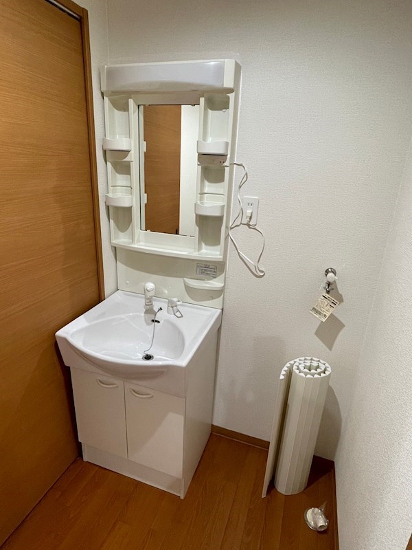 洗面設備　朝の支度に便利なシャンプードレッサー付き