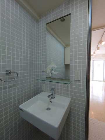 洗面設備　プライムアーバン三軒茶屋(別部屋参考画像)