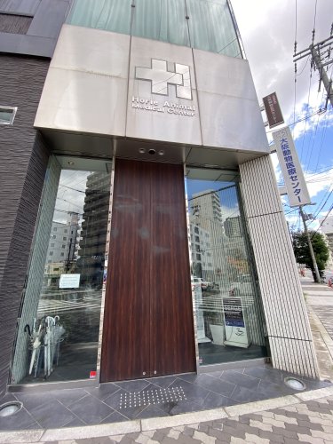 病院　堀江動物医療センター（病院）まで140m