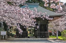 その他　西蓮寺（その他）まで1593m