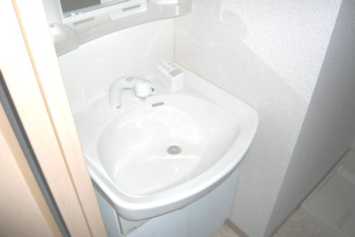 洗面設備　ロイヤルヒルＩＩ　シャンプードレッサー