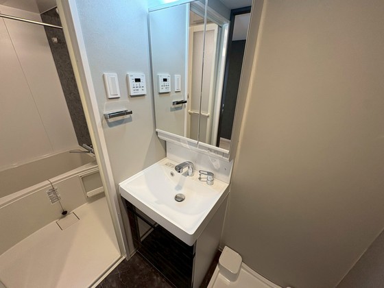 洗面設備　※別部屋の写真です