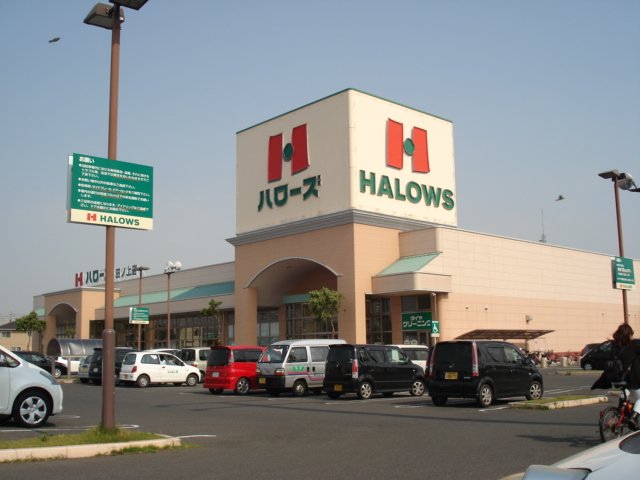 スーパー　ハローズ田ノ上店（スーパー）まで1115m