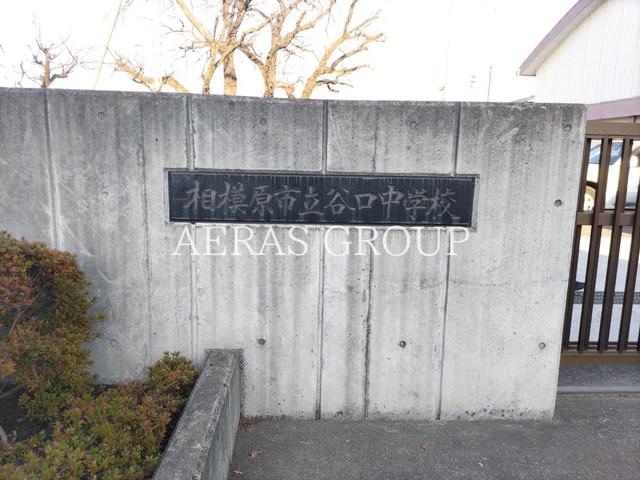 中学校　相模原市立谷口中学校（中学校）まで781m