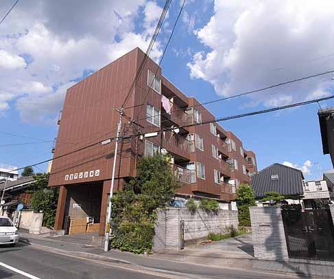 建物外観　日当たり良さそうです