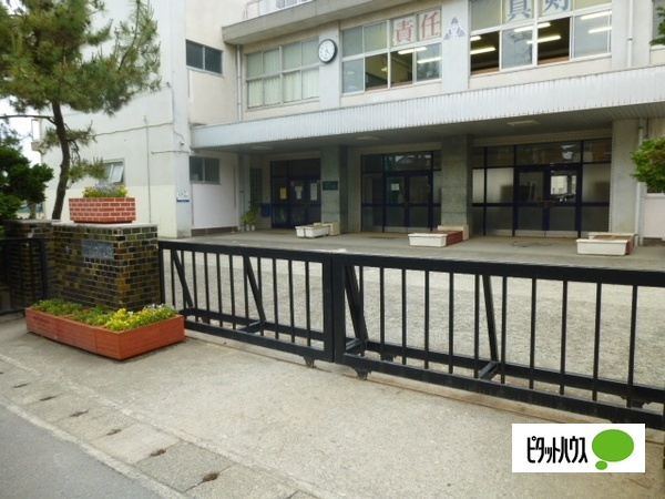 中学校　小田原市立泉中学校（中学校）まで982m