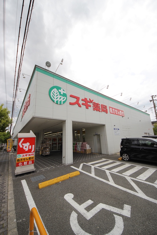 ドラックストア　スギ薬局上ノ島店（ドラッグストア）まで216m
