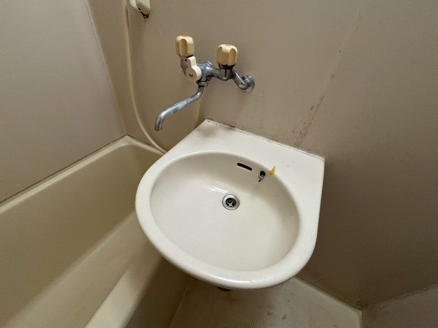 洗面設備　※別号室の写真です