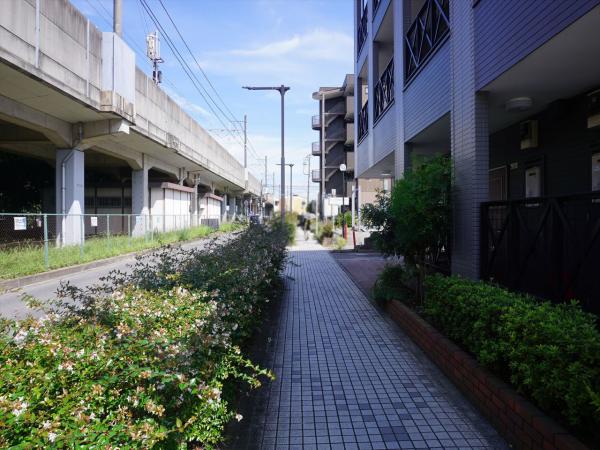 その他　現地周辺街並み（その他）まで5m
