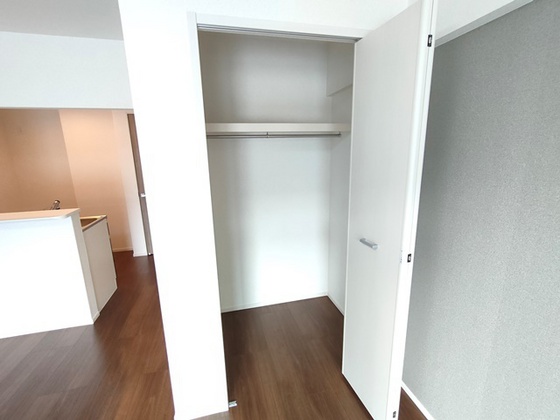 収納　※別部屋の写真です