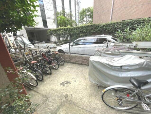 庭