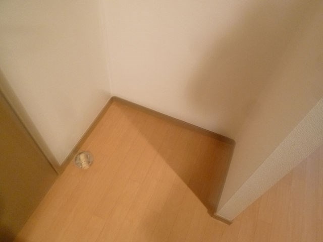 その他設備　室内洗濯機置き場
