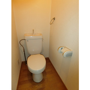 トイレ　トイレも気になるポイント
