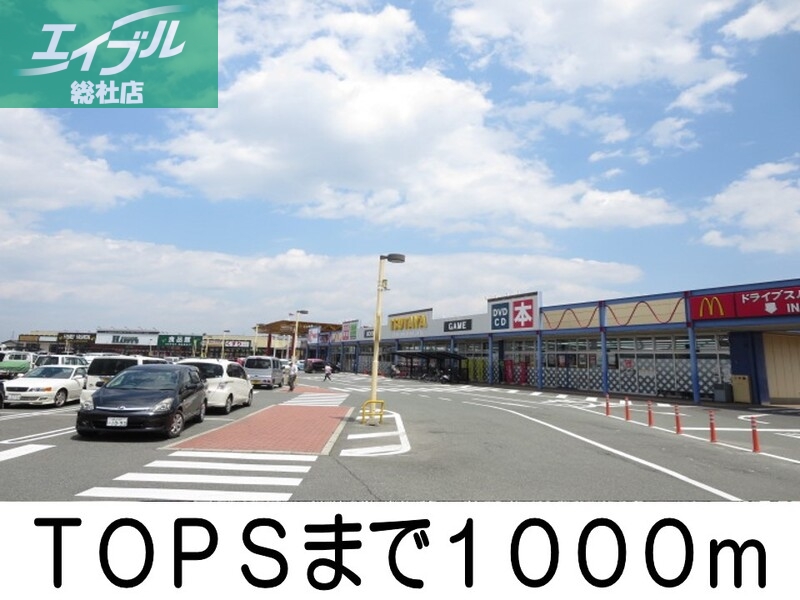 その他　TOPS（その他）まで1000m
