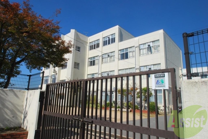 小学校　神戸市立白川小学校（小学校）まで848m